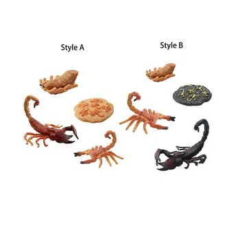 Escorpião Modelo de Ciclo de Vida de Animais Estatueta de Brinquedo para Festa Temática de Favores Miúdos de Educação de contar Histórias de Sequenciamento de Materiais de Ensino