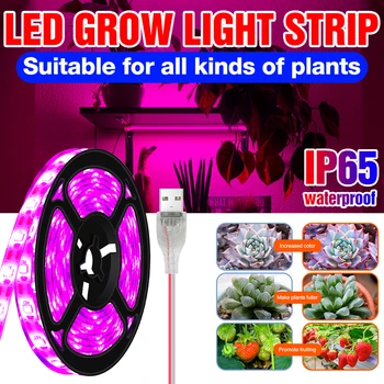 USB Fito Espectro Completo da Lâmpada Crescimento da Planta luzes Led Crescer Luz de Tira emissões de gases de efeito Phytolamp para Plantas em Hidroponia Crescer Sistema